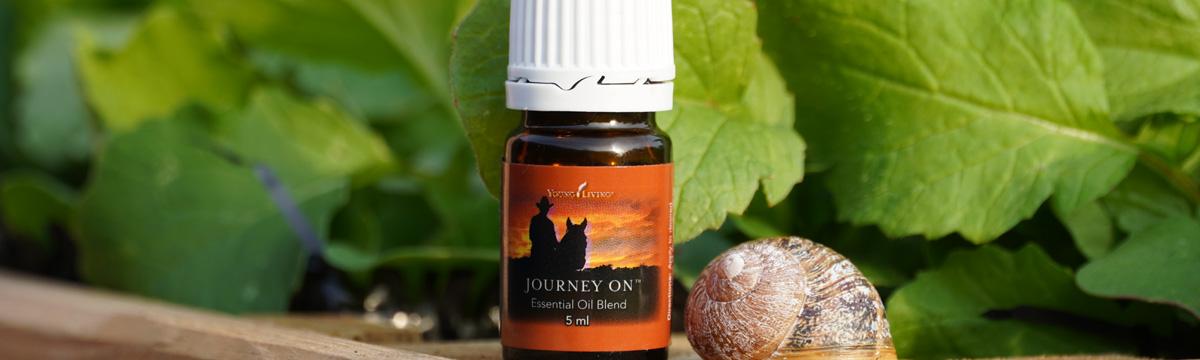 Journey on Young Living